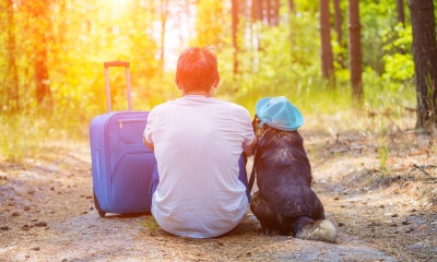 Gdzie na Dolny Śląsk z psem? 16 pomysłów na wycieczki z czworonogiem