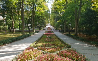 13 atrakcji w Polanicy-Zdroju, których nie możesz przegapić