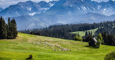 Zakopane attractions and interesting places. What is worth seeing in Zakopane?