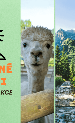 Zakopané s dětmi - nejlepší atrakce, tipy na výlety a rodinné zážitky v Tatrách