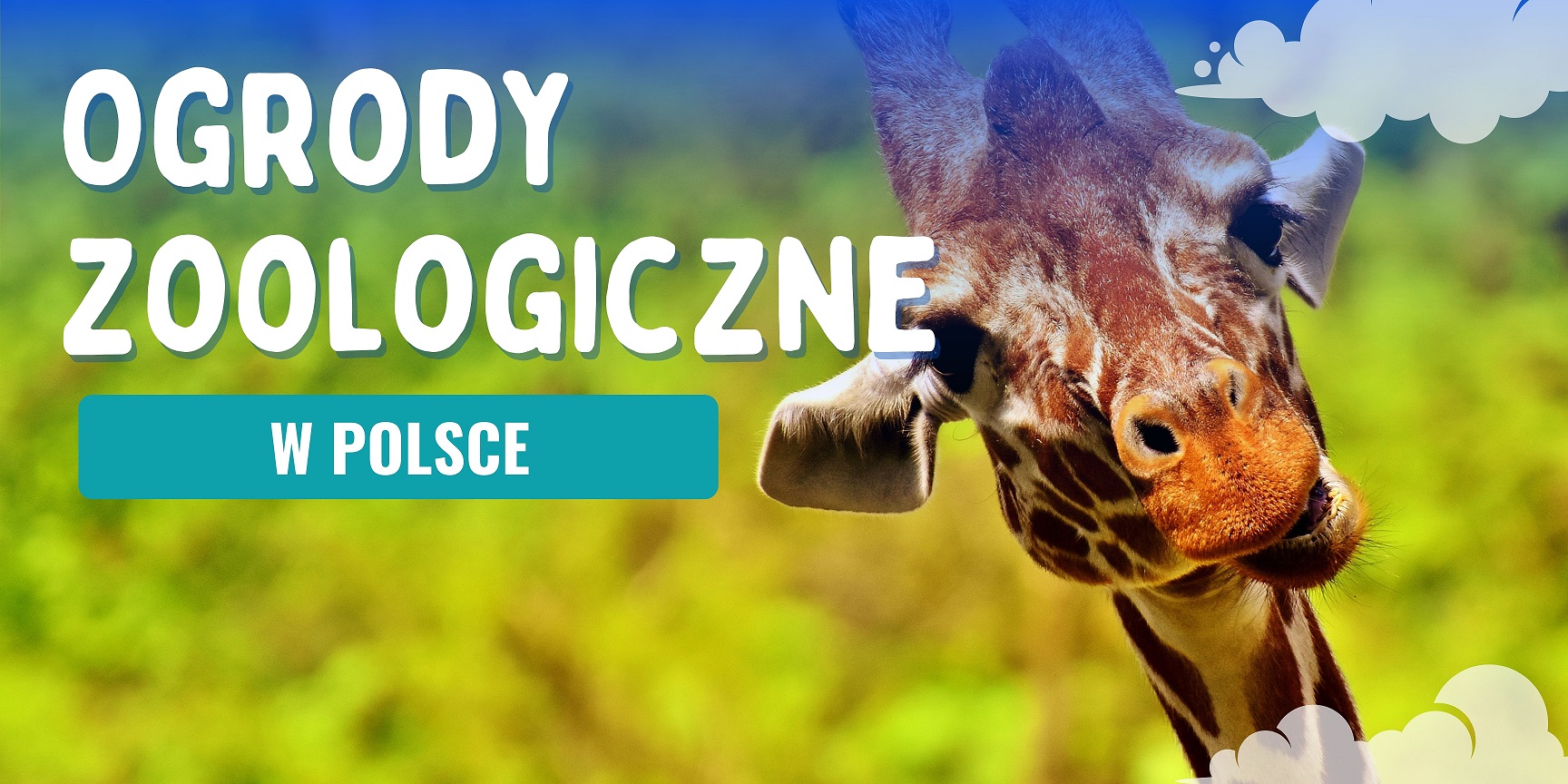 Ogrody zoologiczne w Polsce