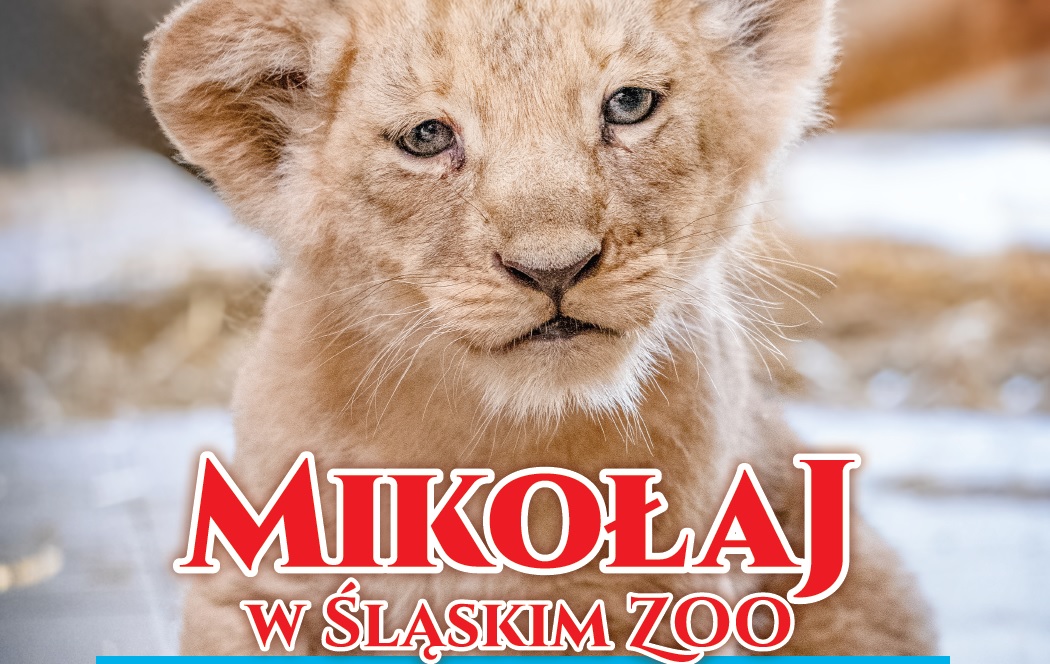 mikolajki zoo