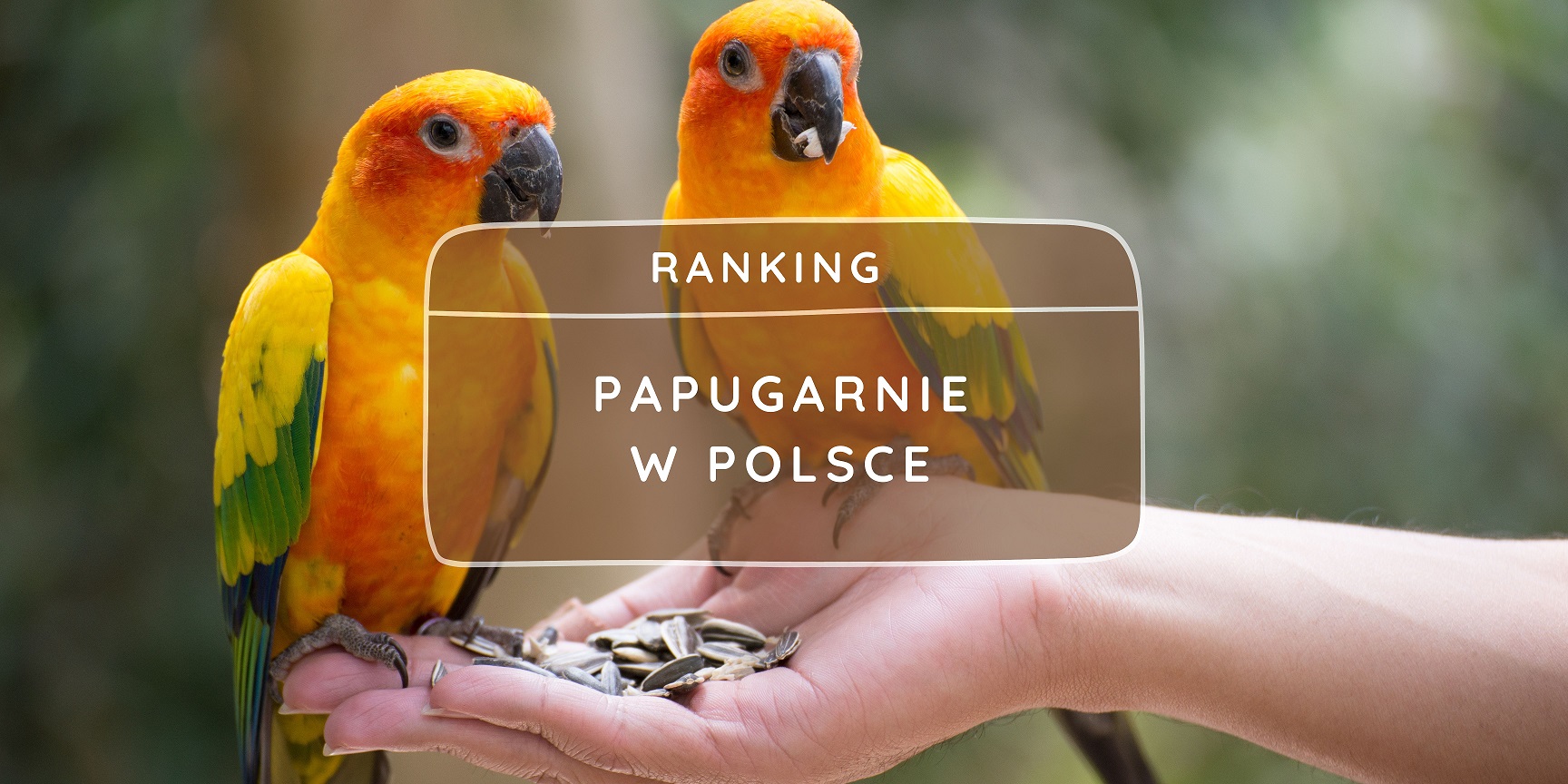 Papugarnie w Polsce