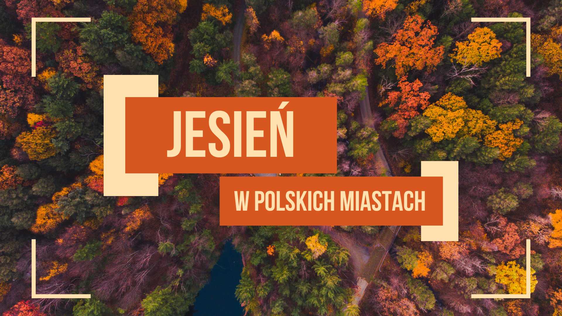 Jesień w polskich miastach