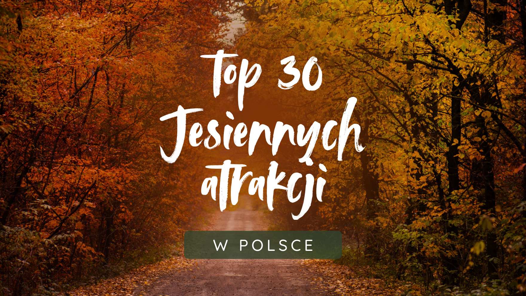 TOP 30 atrakcji w Polsce, które warto zobaczyć tej jesieni