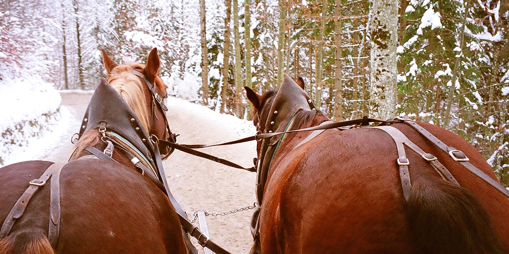 Kuligi Zakopane