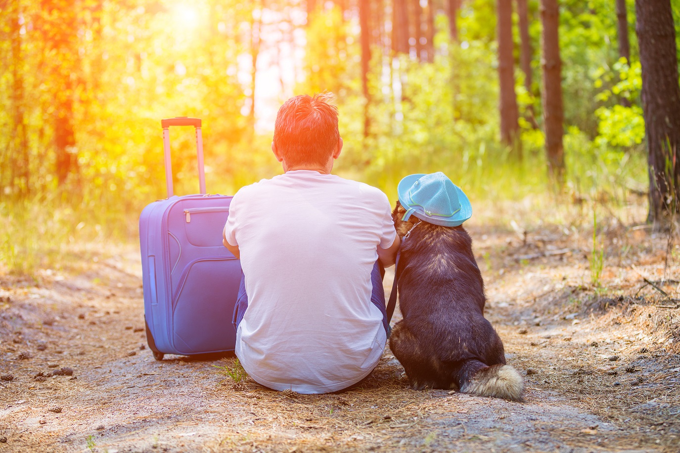 dolny-slask-z-psem,-zwiedzanie-z-psem,-wakacje-z-psem,-co-zwiedzac-z-psem,-podroz-z-psem,-poradnik-podroze-z-psem,-psie-podroze-po-dolnym-slasku,-atrakcje-dla-psow-dolny-slask,-ziemia-klodzka-z-psem,-karkonosze-z-psem,-karpacz-z-psem,-polskie-gory-z-psem,-szlaki-gorskie-dostepne-dla-psow