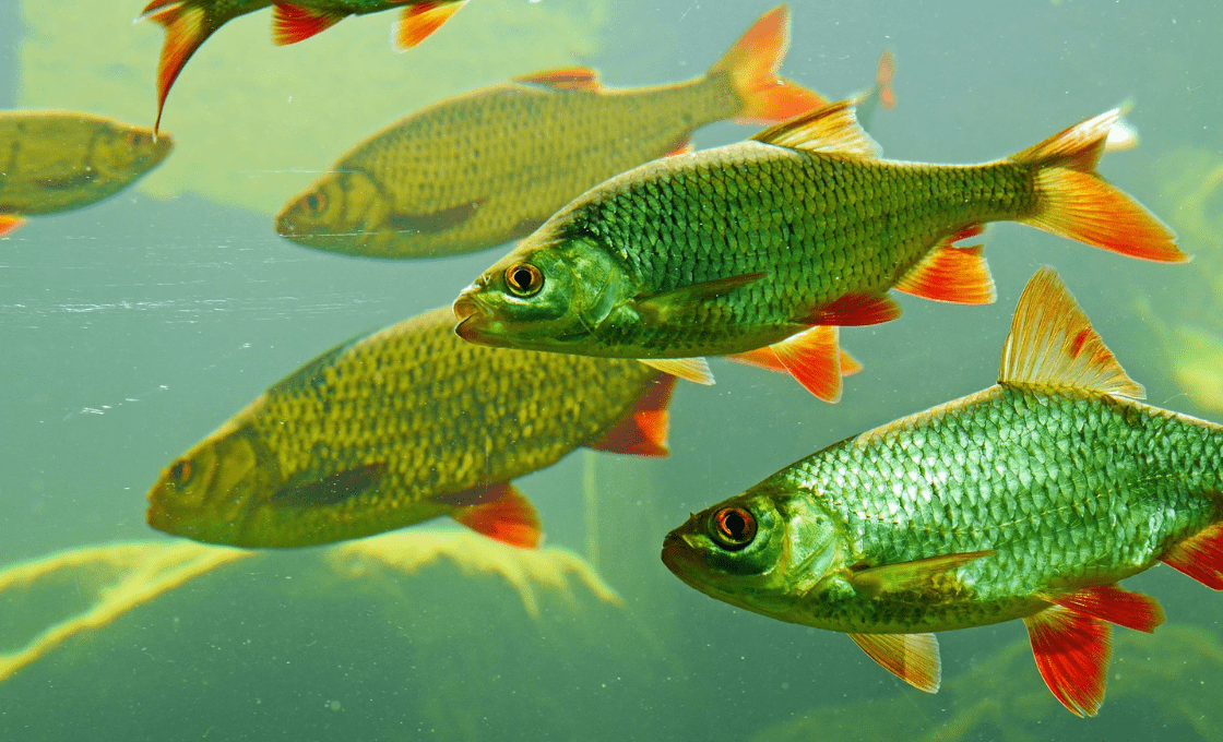 Podwodny Świat Zakopane