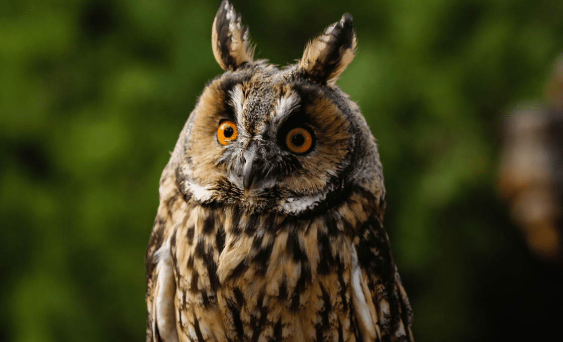 Tatrzański Park Edukacyjny