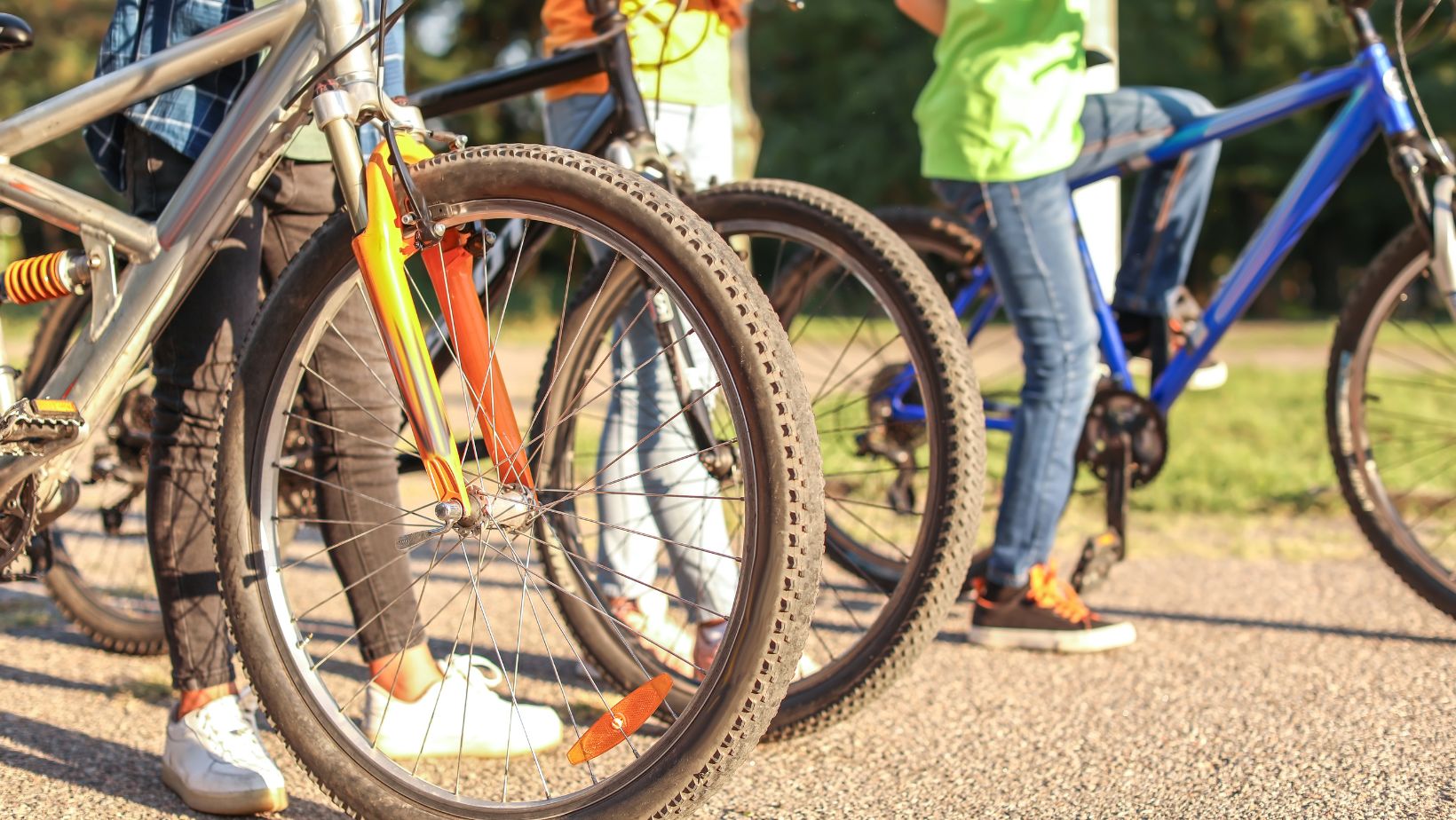 Trasy-rowerowe-w-Polanicy-Zdroj