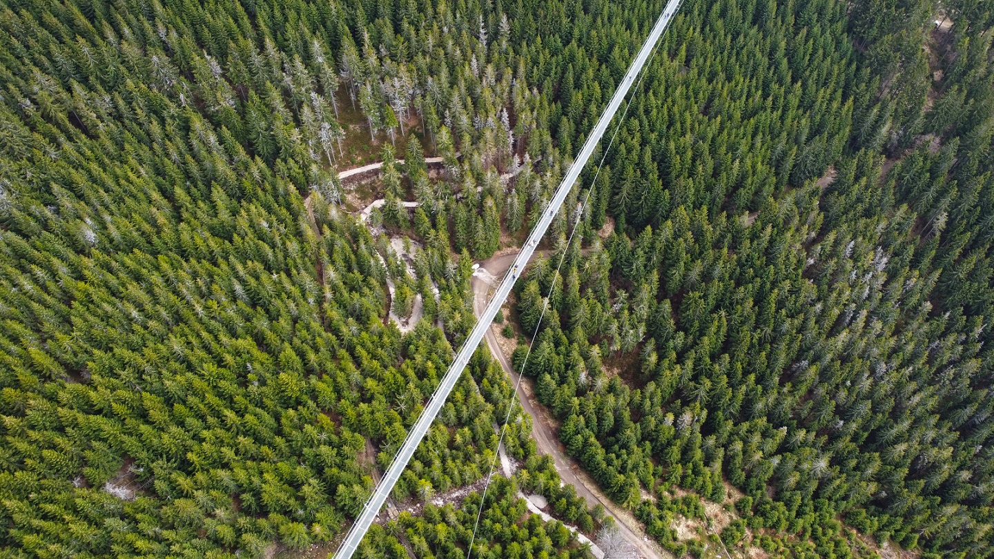 -Most-w-Czechach-Sky-Bridge-721
