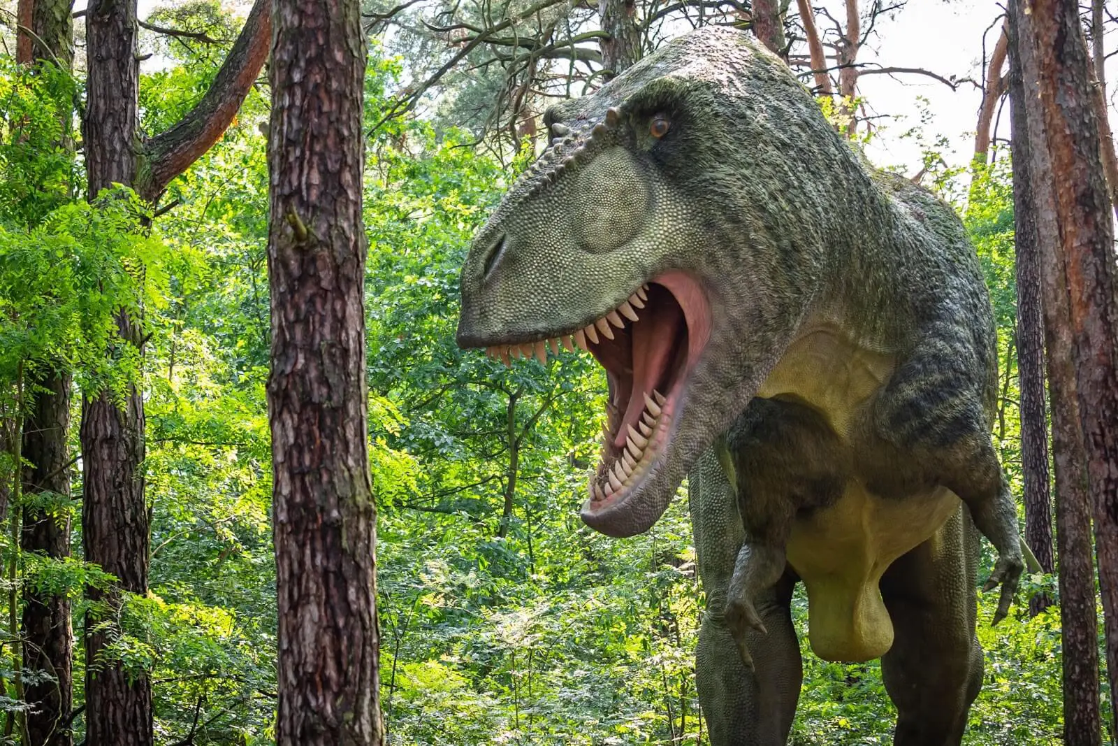 JuraPark Solec