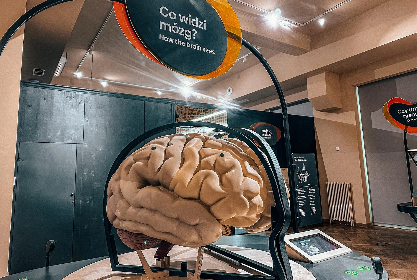 centrum witelona legnica jpg