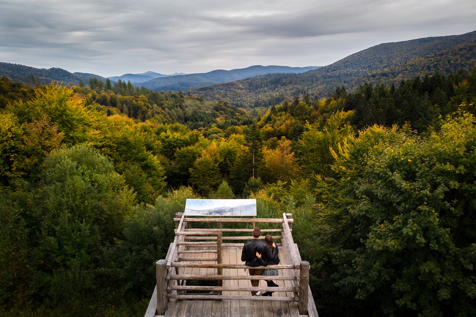 Lasy-Panstwowe-atrakcje-turystyczne
