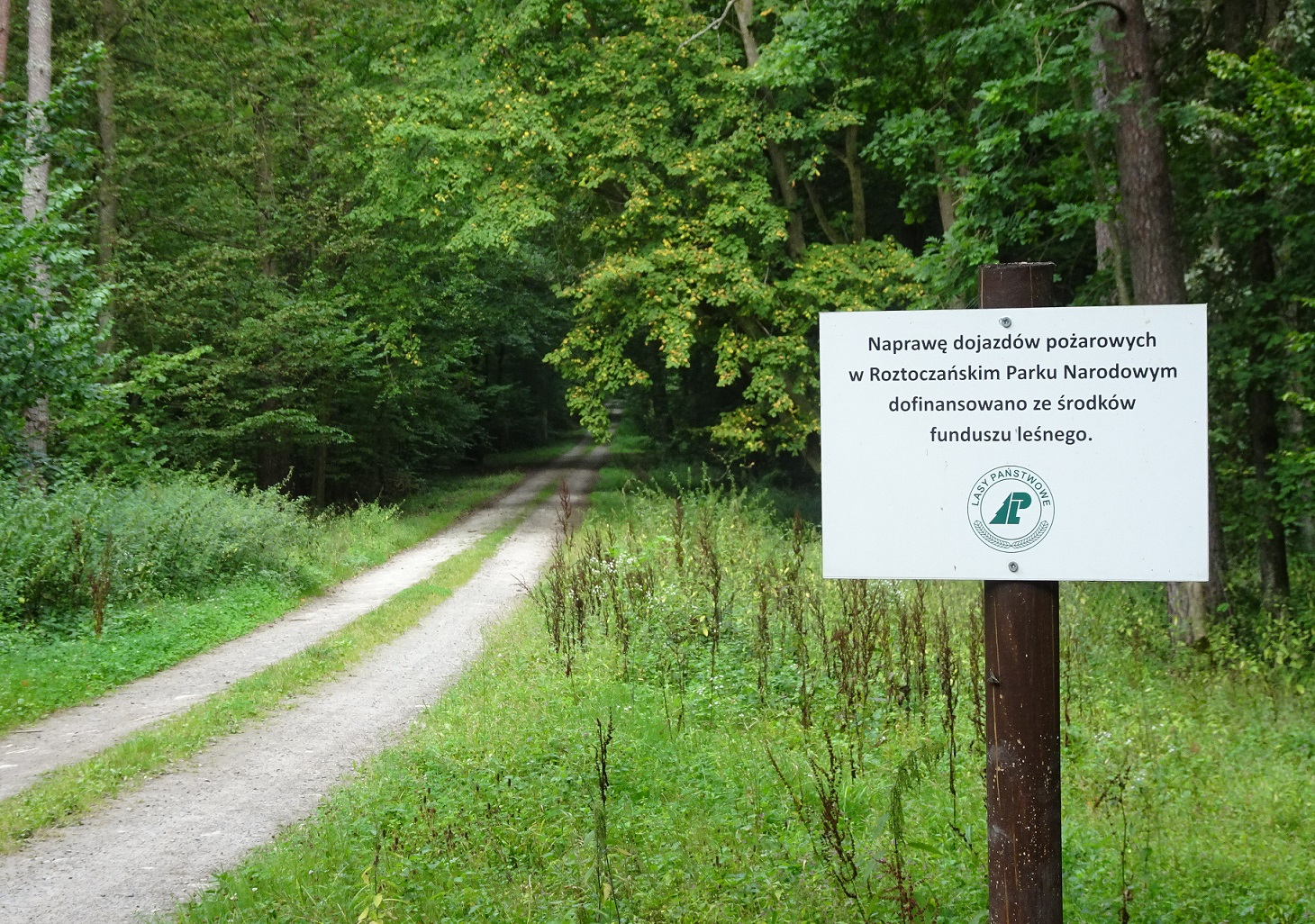 droga leśna z Funduszu Leśnego