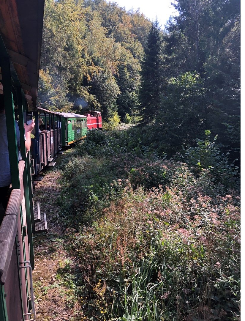 leśna Olga Buczyńska