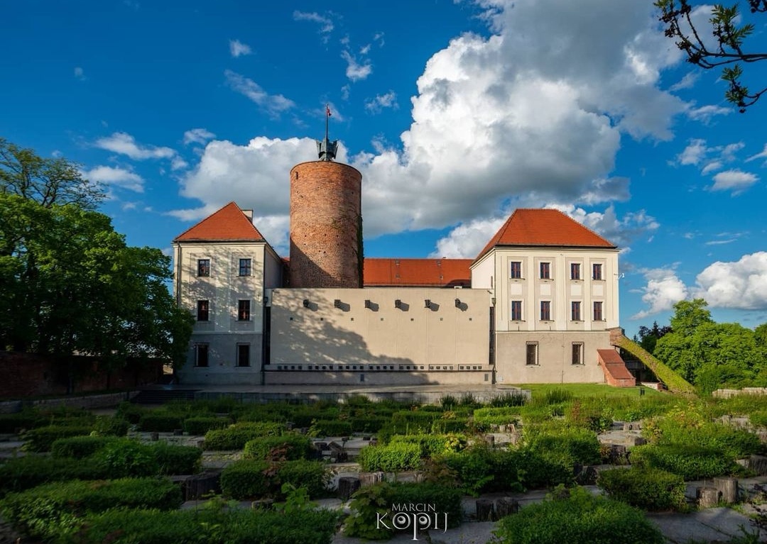 Zamek Głogów