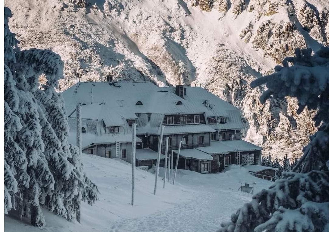 fb img 1643116324490