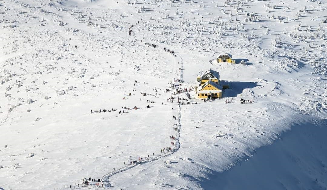 fb img 1643117404247