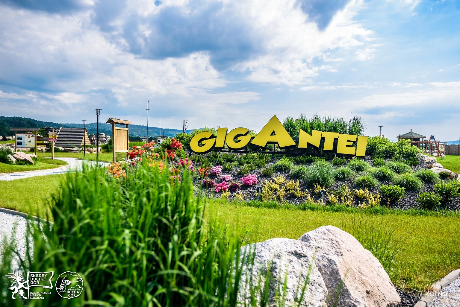 gigantei
