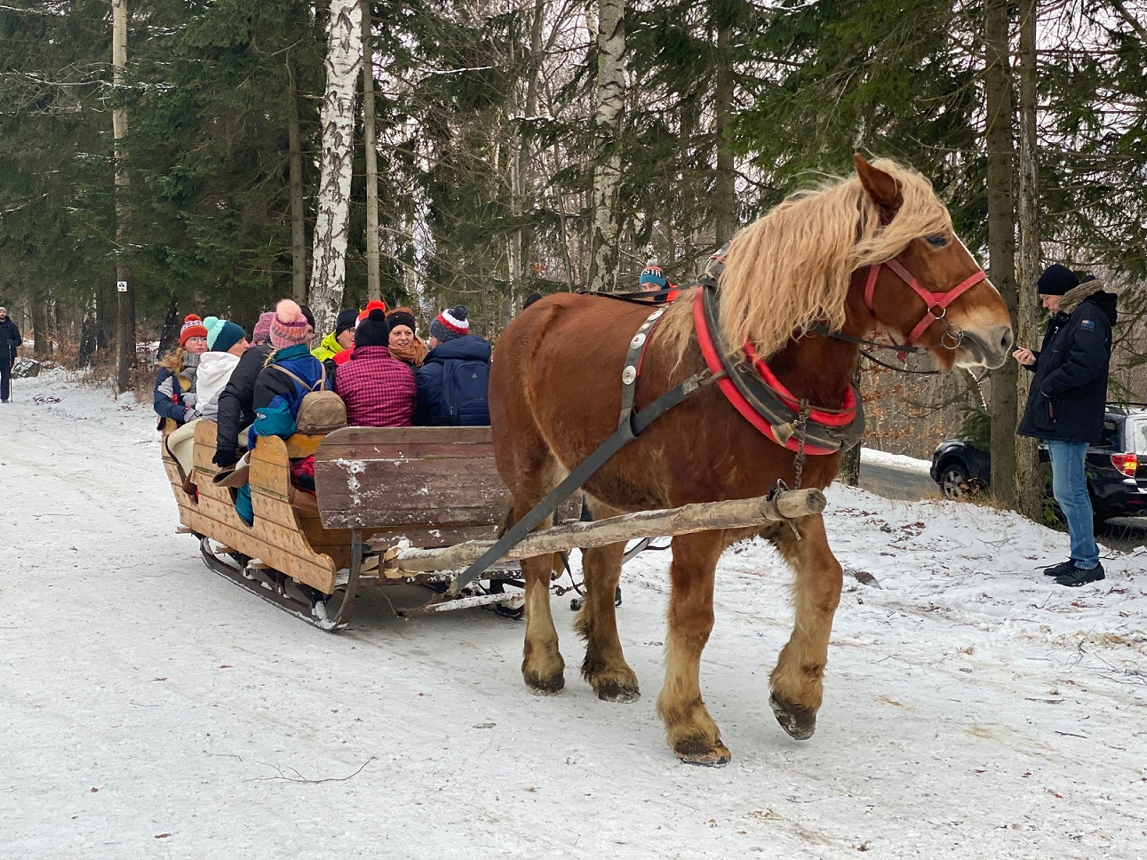 Kuligi-Szklarska-Poreba
