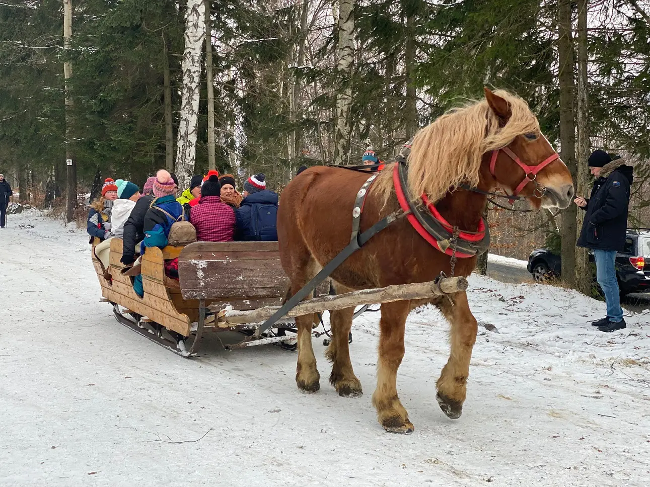 kon-rad dorozki kuligi szklarska poreba