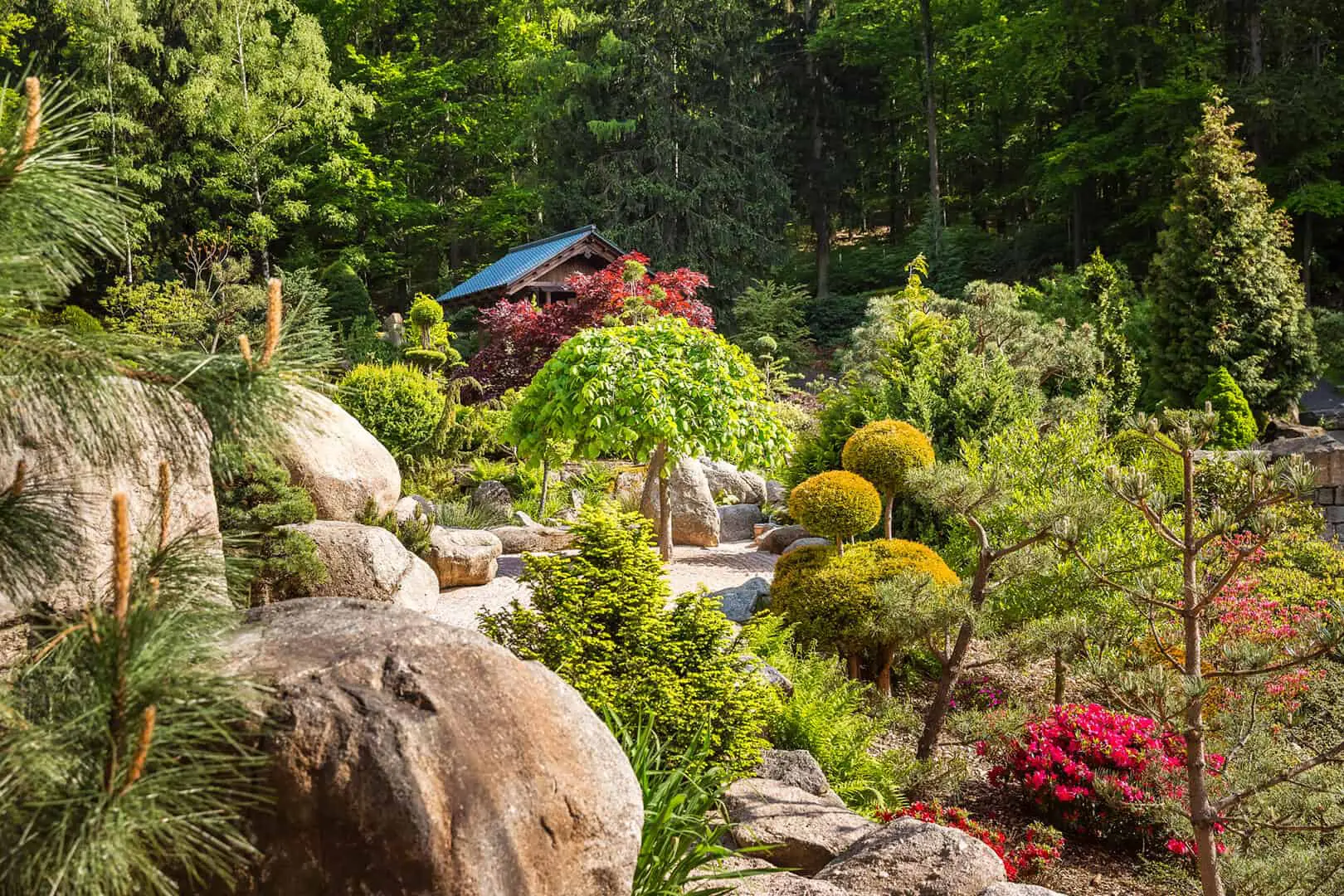 mała japonia ogród japoński
