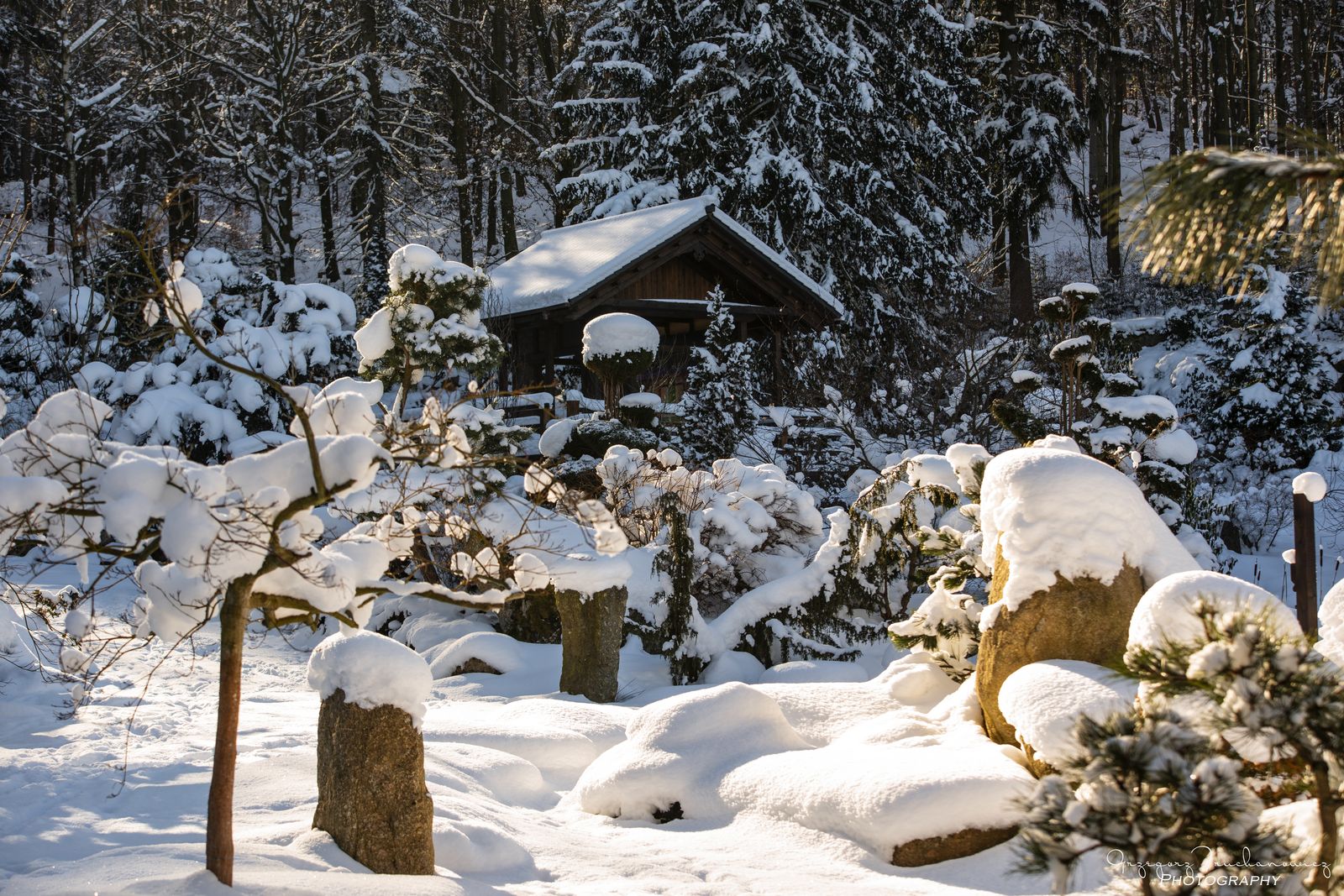 ogród japoński mała japonia