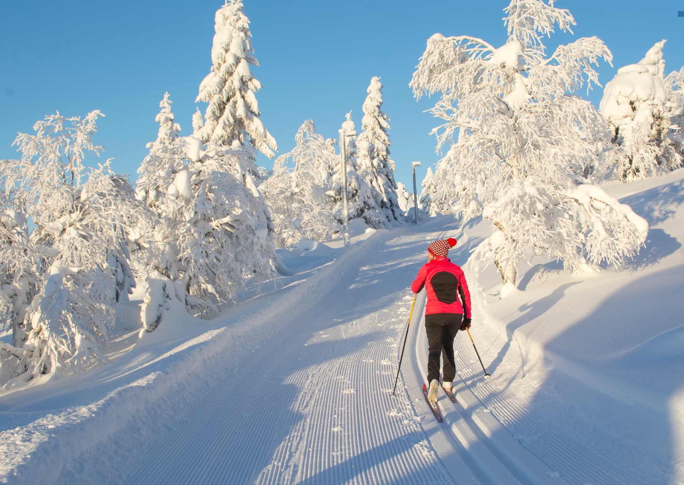 ski&sun atrakcje Świeradów-Zdrój