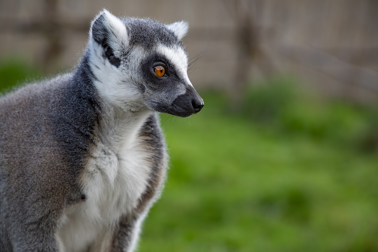 ZOO Łączna - dlaczego warto przyjechać?