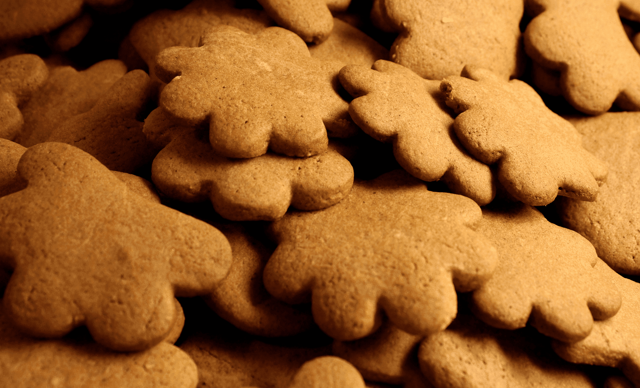 Pierniki trzcińskie Karpacz