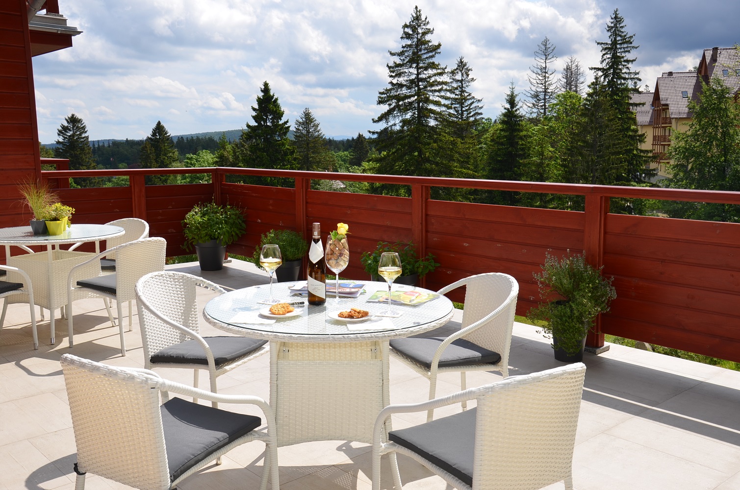 Taras Willa Odkrywców