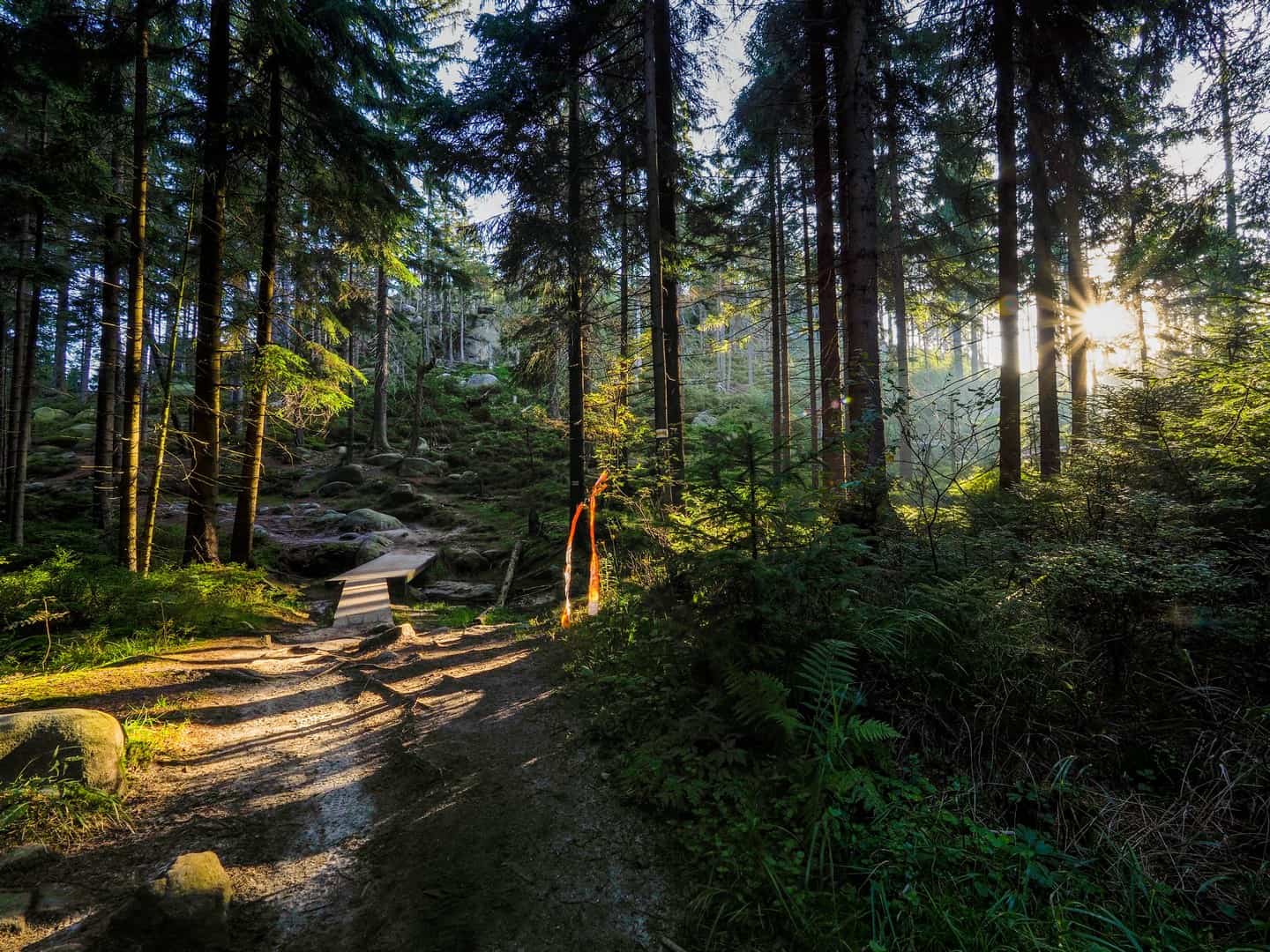 Park Narodowy Gór Stołowych