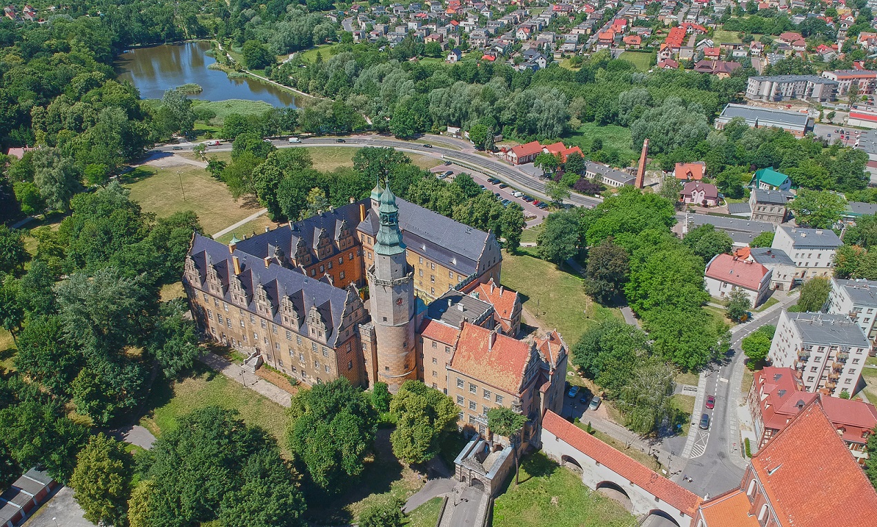 zamek oleśnica
