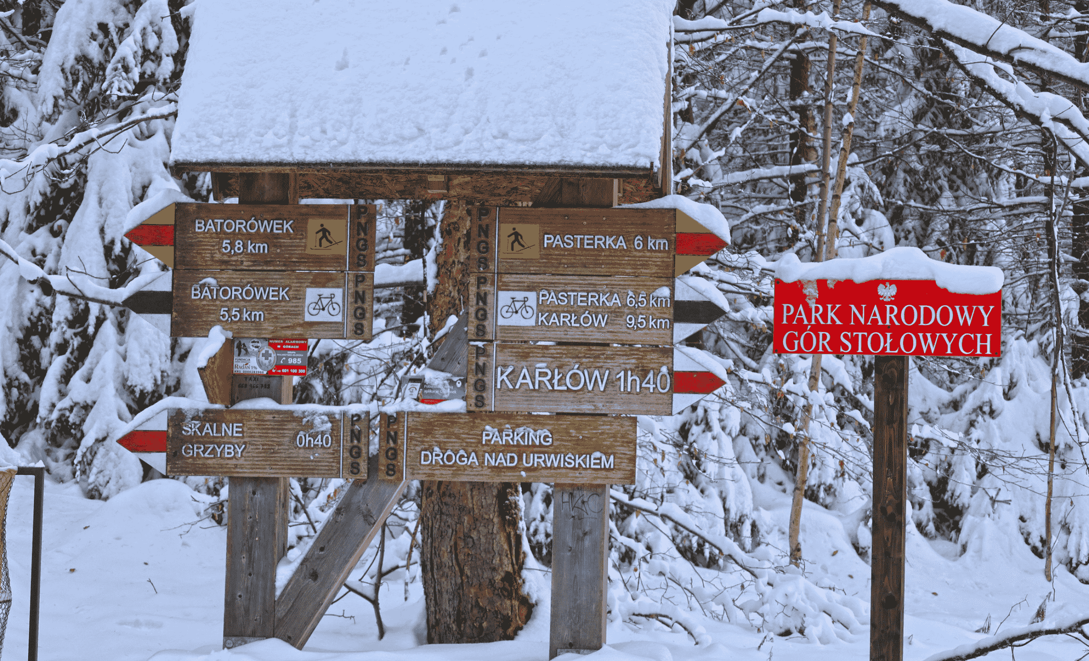 Narty biegowe Radków