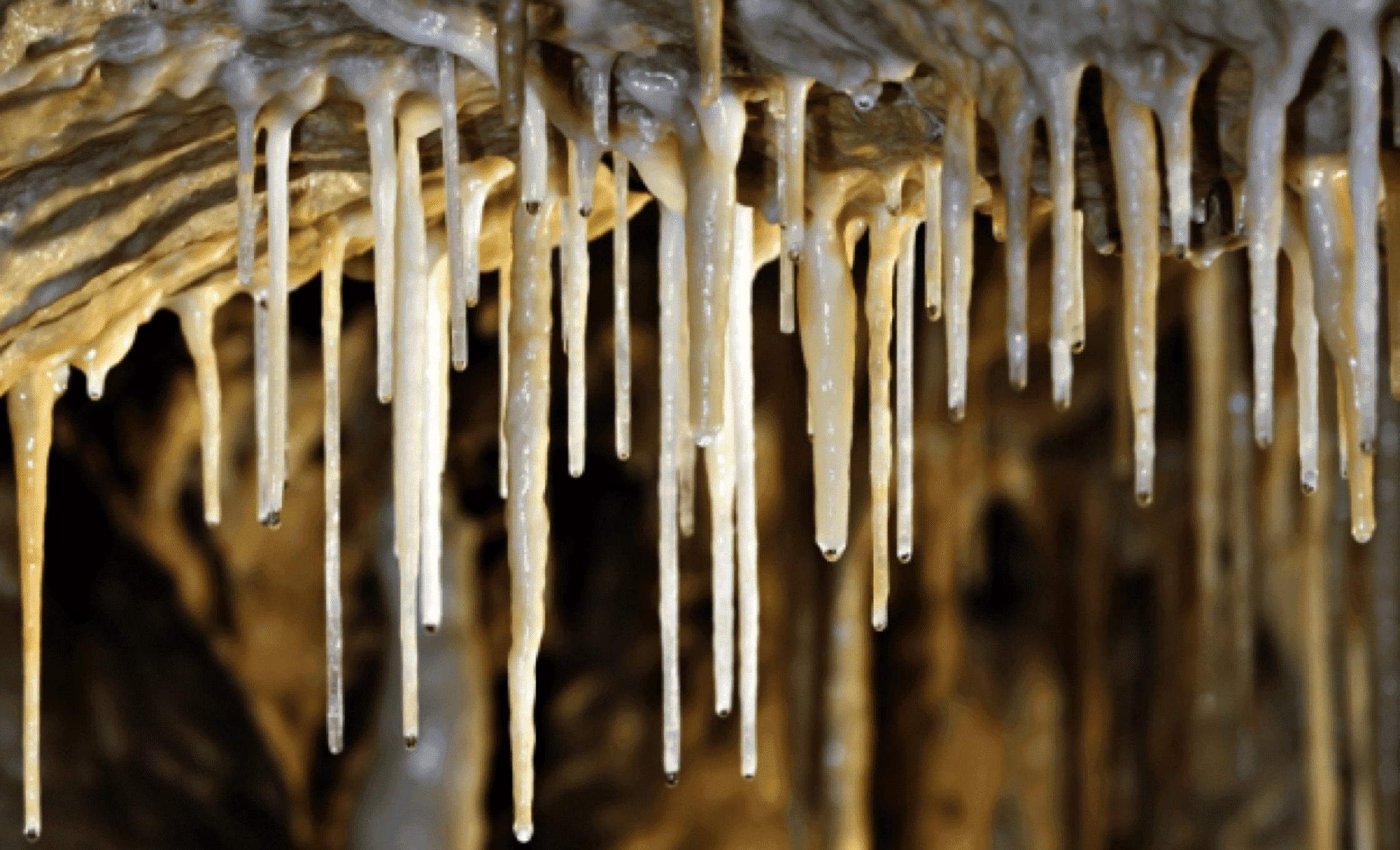 Jaskinia Niedźwiedzia Stronie Śląskie