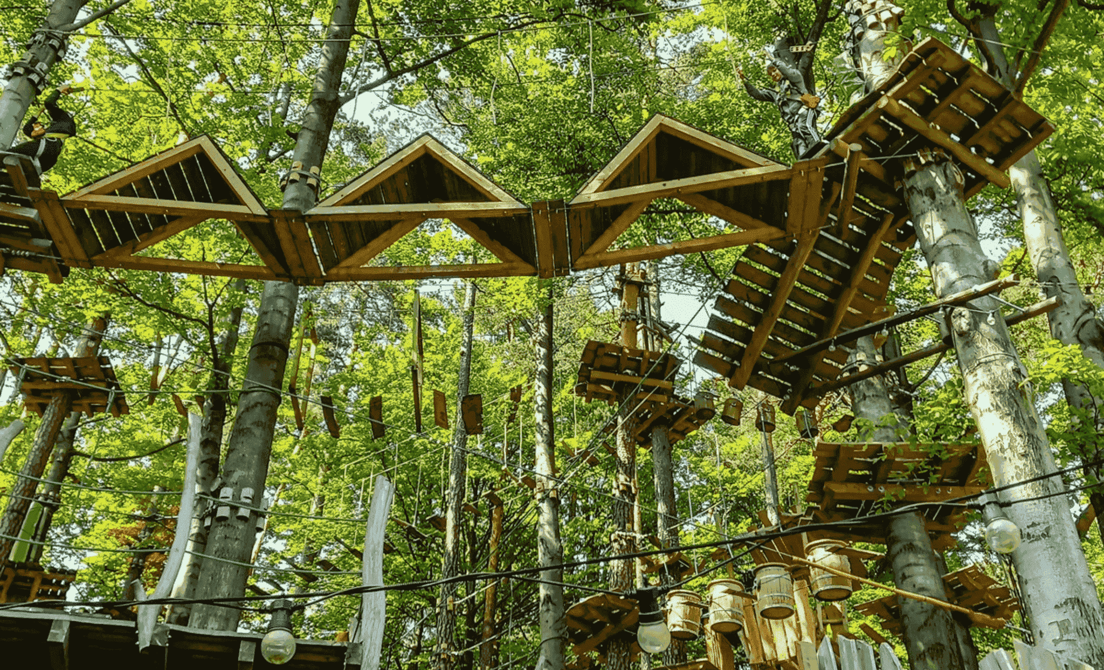 park linowy trollandia 6 1 1 1 1 1 1 1 1 1 1 1 1 1 1 1 1 1 1 1 1