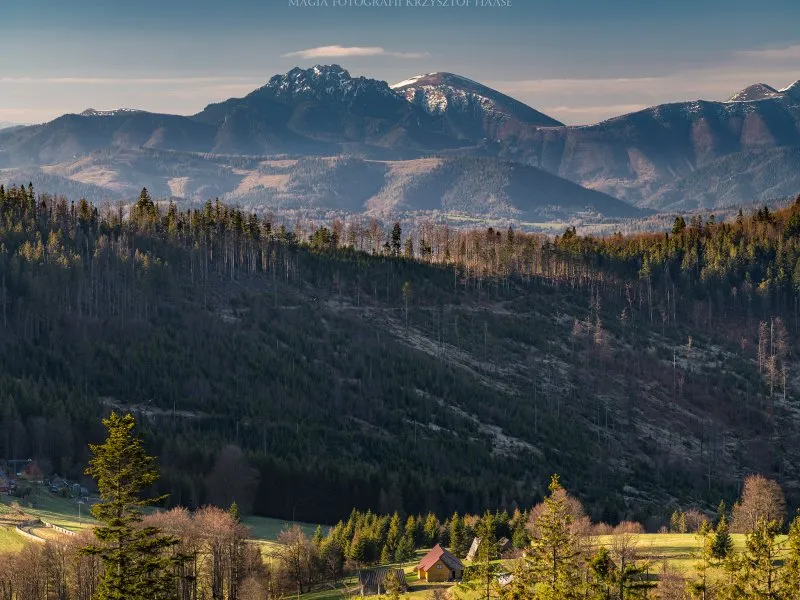 przegibek i bendoszka wielka.jpg 2