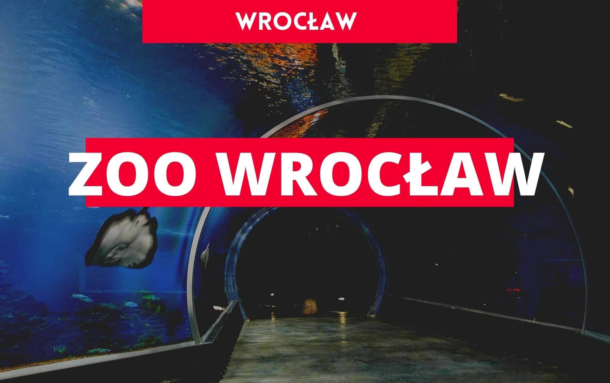 ZOO Wrocław, wrocław atrakcje, atrakcje turystyczne dolnego śląska, gdzie na weekend wrocław, zoo polska, wakacje w polsce