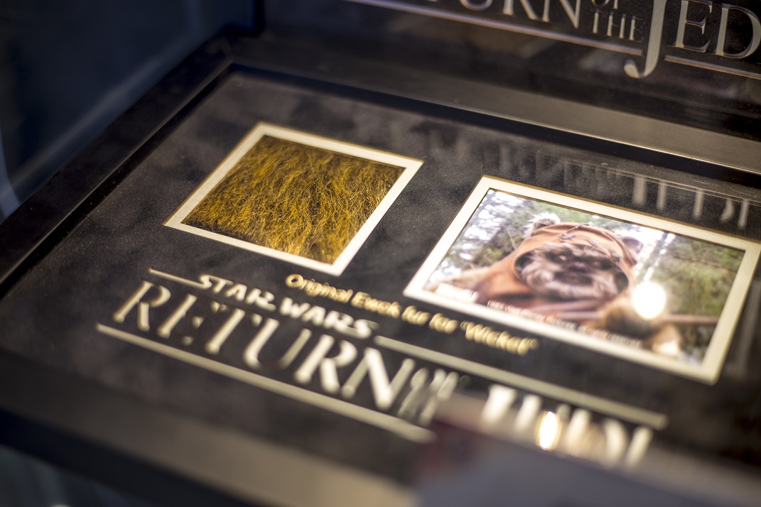 movie gate wrocław wycieczki szkolne