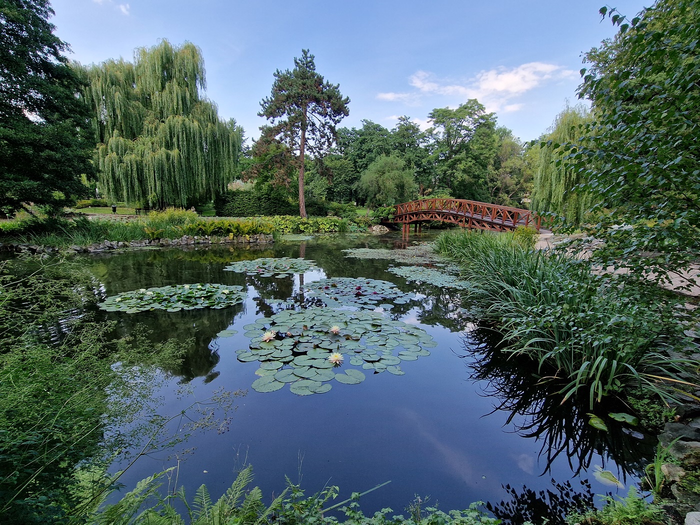 ogród botaniczny wrocław