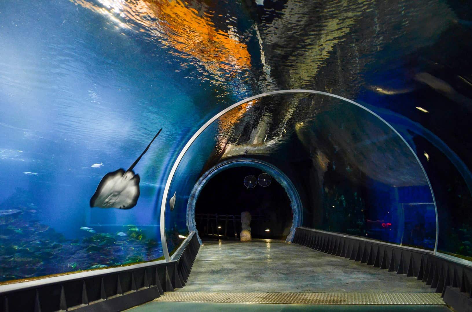 zoo wroclaw
