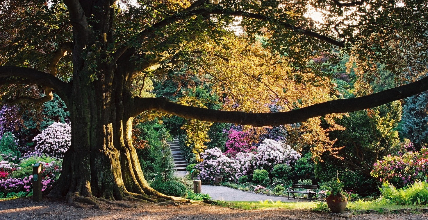 ARBORETUM Wojslawice