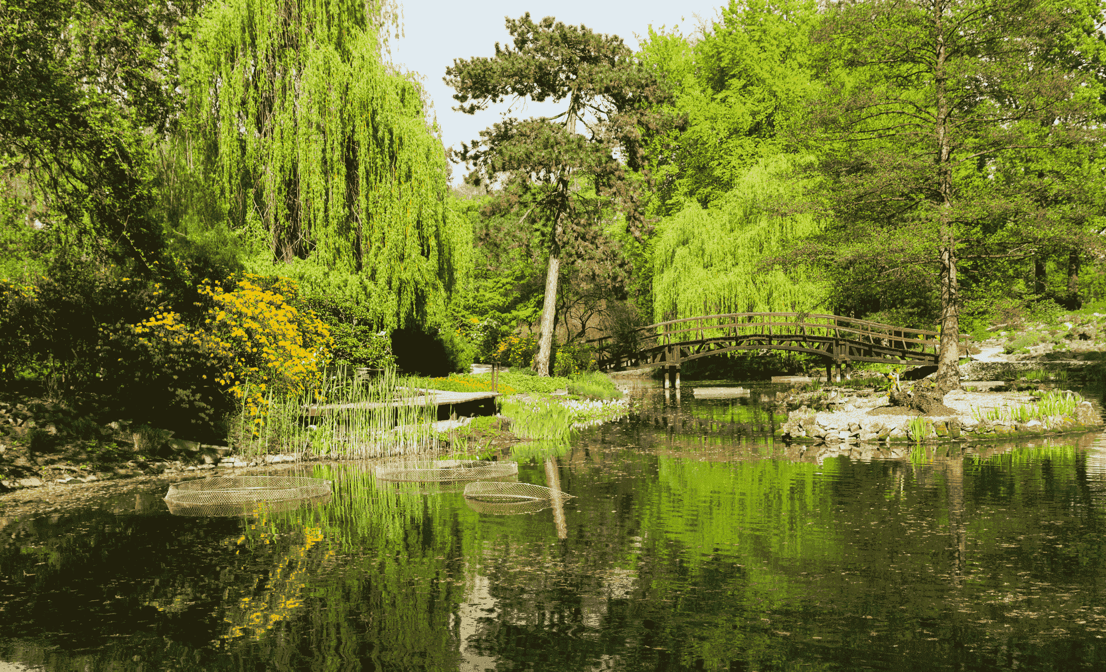 park szczytnicki wroclaw 2 1