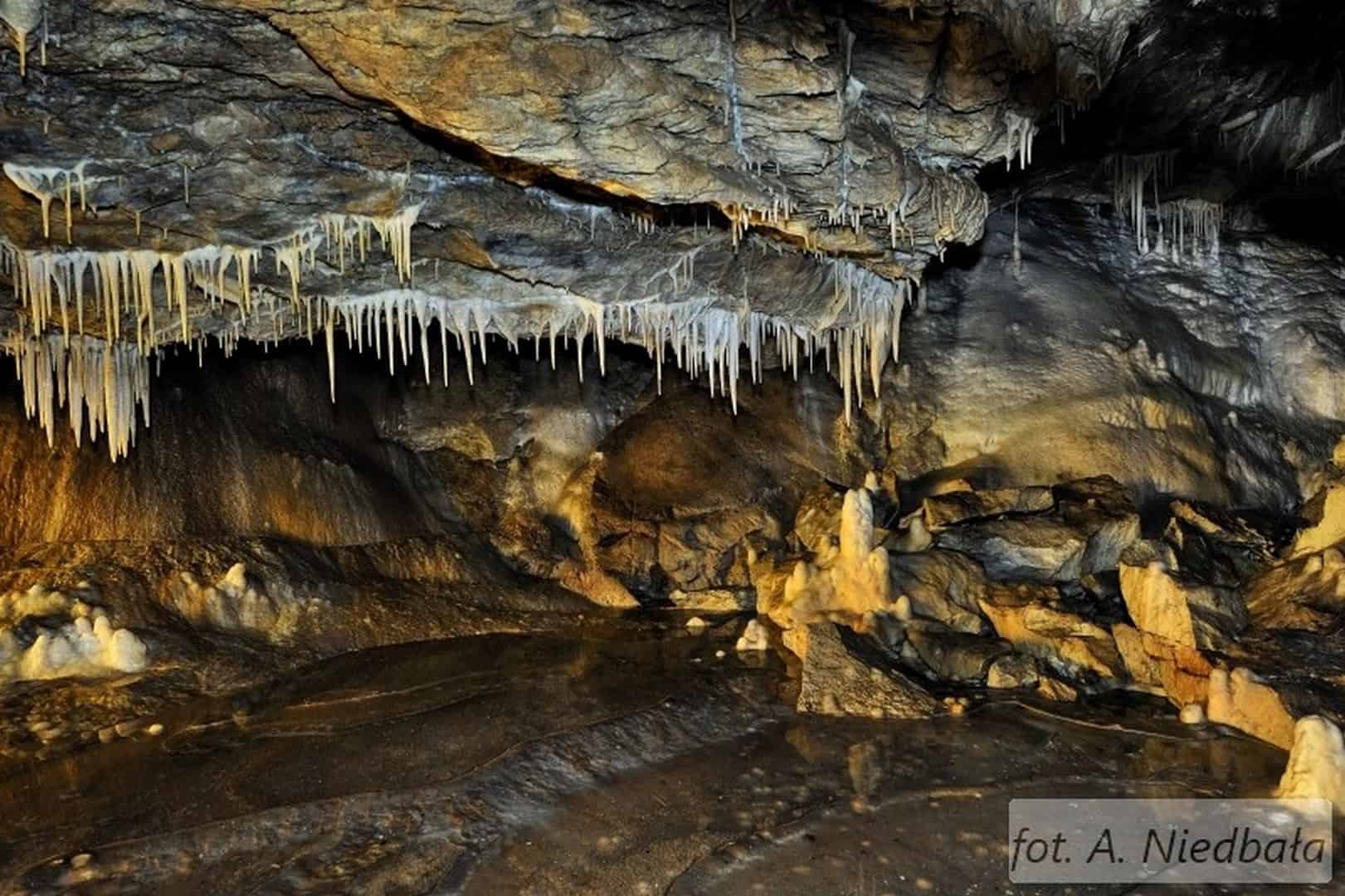 2 Ekspozycja w Pawilonie Wejsciowym