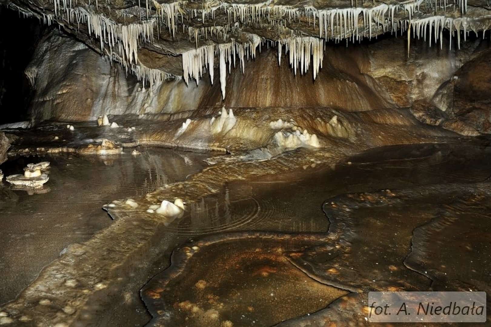 jaskinia niedzwiedzia srodek