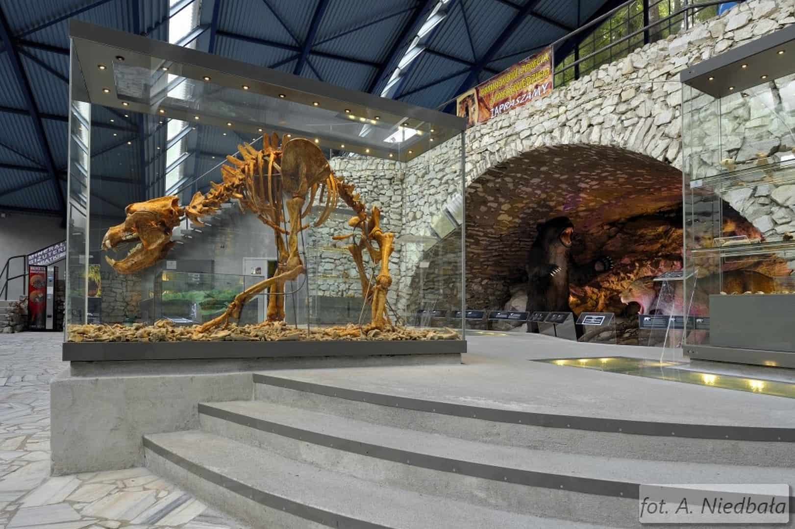 jaskinia niedźwiedzia