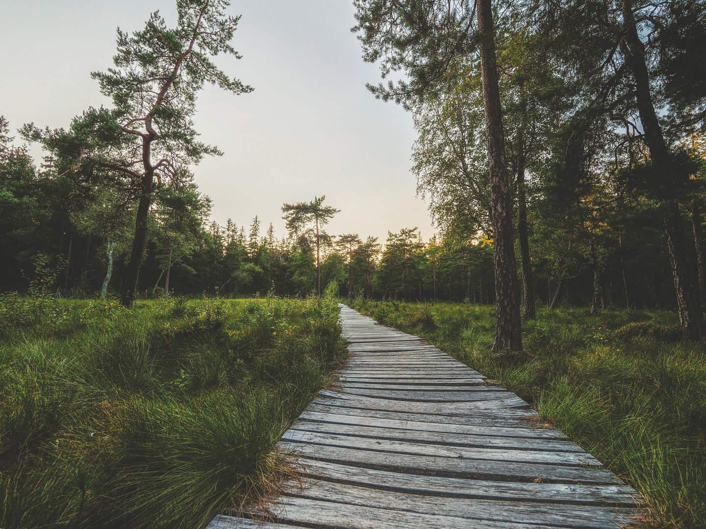 gmina radkow atrakcje dolny ślask