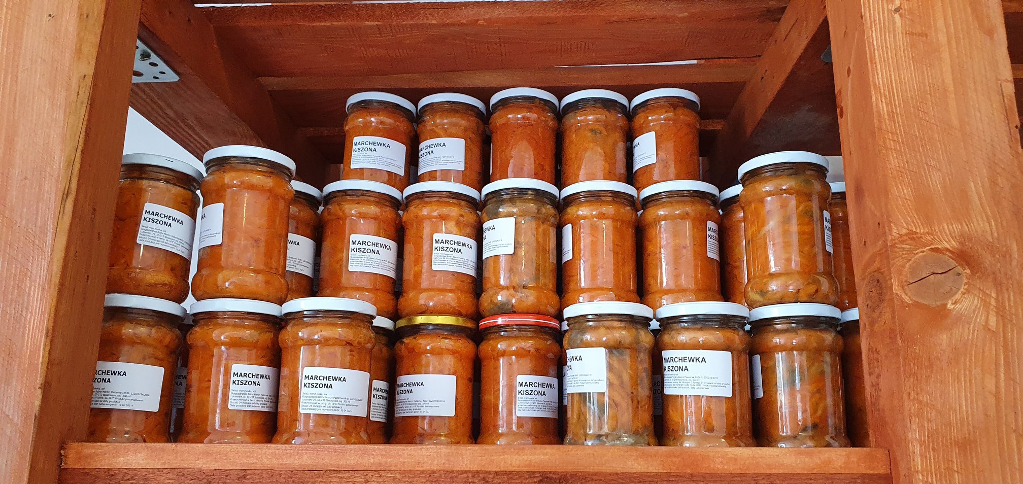 257794057 4992306597470234 4609717956577233561 n