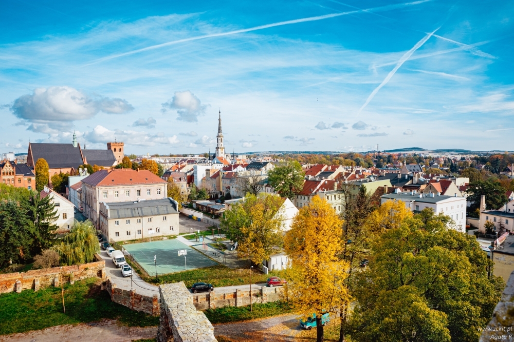 zabkowice śląskie